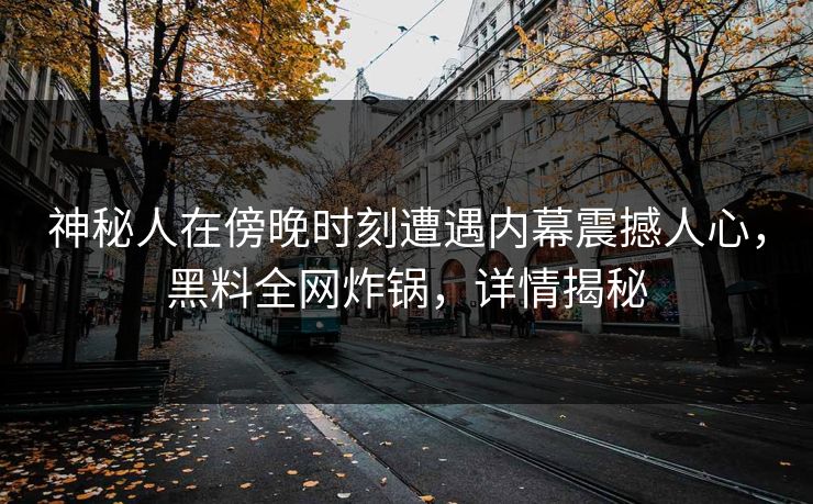 神秘人在傍晚时刻遭遇内幕震撼人心，黑料全网炸锅，详情揭秘
