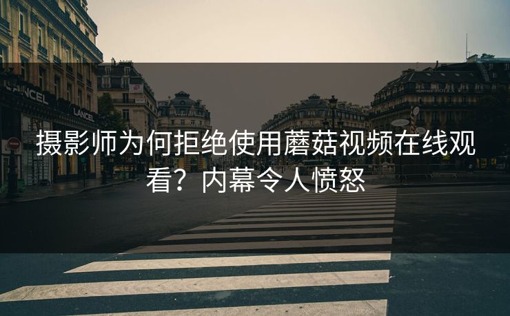 摄影师为何拒绝使用蘑菇视频在线观看？内幕令人愤怒