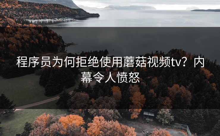 程序员为何拒绝使用蘑菇视频tv？内幕令人愤怒