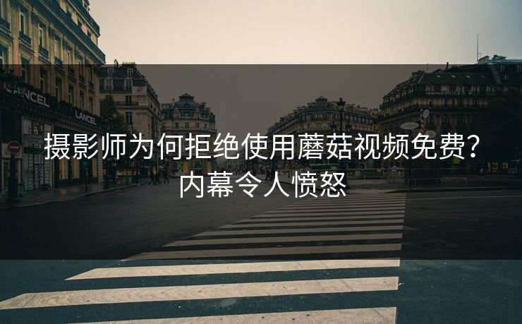 摄影师为何拒绝使用蘑菇视频免费？内幕令人愤怒