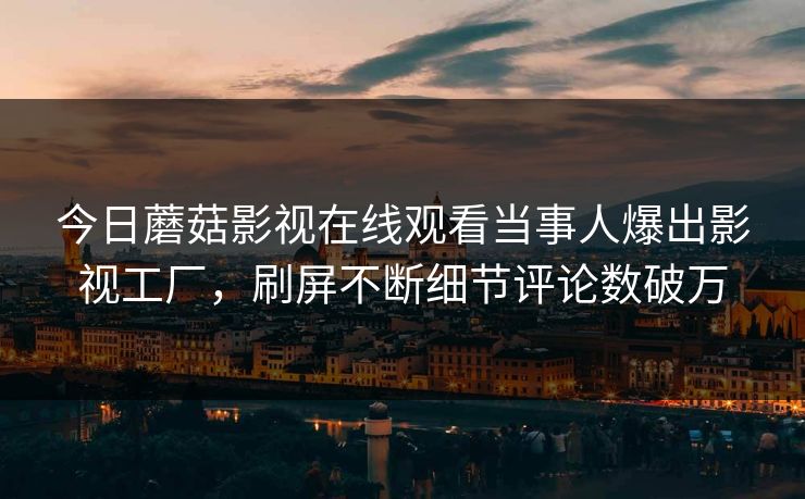 今日蘑菇影视在线观看当事人爆出影视工厂，刷屏不断细节评论数破万