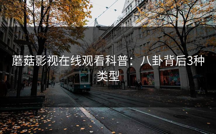 蘑菇影视在线观看科普：八卦背后3种类型