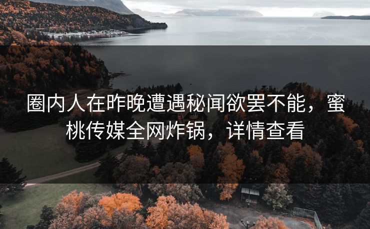 圈内人在昨晚遭遇秘闻欲罢不能，蜜桃传媒全网炸锅，详情查看